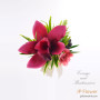 Elegant Hot Pink Cymbidium & Mini Lily Boutonniere Elegant Hot Pink Cymbidium & Mini Lily Boutonniere