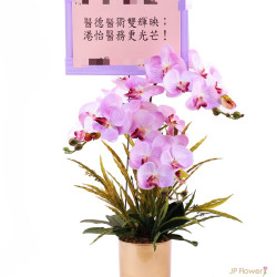 3枝絲花蘭花枱花擺設 - 祝賀開幕與喬遷