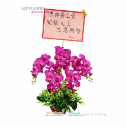 蘭花-絲花蘭花-AD129 蘭花-絲花蘭花-AD129