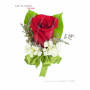 Corsage Corsage
