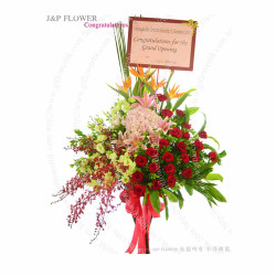 紅粉盛啟·開張花籃 — 百合・玫瑰・繡球・桔梗・天堂鳥・紅蘭(青鐵花籃;客製化/氣球套裝) 紅粉盛啟·開張花籃 — 百合・玫瑰・繡球・桔梗・天堂鳥・紅蘭(青鐵花籃;客製化/氣球套裝)