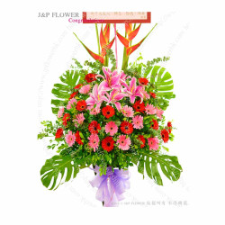 紅粉慶榮·開張花籃 — 百合 × 太陽花 × 火紅赫蕉蘭(客製印字 / 氣球套裝) 紅粉慶榮·開張花籃 — 百合 × 太陽花 × 火紅赫蕉蘭(客製印字 / 氣球套裝)