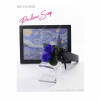 Perfume Soap