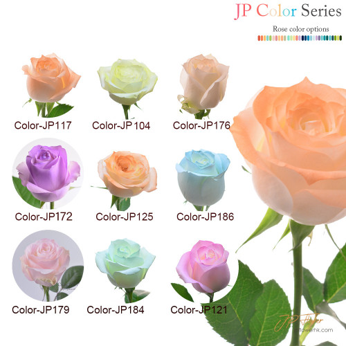 花束-18枝JP色玫瑰,完美詮釋特別記念日的浪漫與愛意 特別記念日專屬花束:18枝JP色玫瑰,傳遞你的最愛甜蜜心意