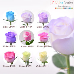 花束-18枝JP色玫瑰,完美詮釋特別記念日的浪漫與愛意 特別記念日專屬花束:18枝JP色玫瑰,傳遞你的最愛甜蜜心意