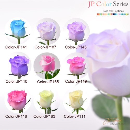 花束-18枝JP色玫瑰,完美詮釋特別記念日的浪漫與愛意 特別記念日專屬花束:18枝JP色玫瑰,傳遞你的最愛甜蜜心意