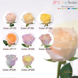 花束-18枝JP色玫瑰,完美詮釋特別記念日的浪漫與愛意 特別記念日專屬花束:18枝JP色玫瑰,傳遞你的最愛甜蜜心意
