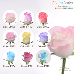 花束-18枝JP色玫瑰,完美詮釋特別記念日的浪漫與愛意 特別記念日專屬花束:18枝JP色玫瑰,傳遞你的最愛甜蜜心意