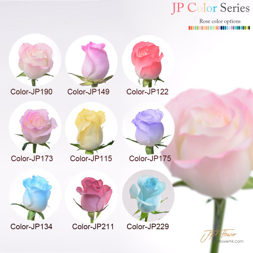花束-18枝JP色玫瑰,完美詮釋特別記念日的浪漫與愛意 特別記念日專屬花束:18枝JP色玫瑰,傳遞你的最愛甜蜜心意