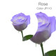 玫瑰 - (18枝)