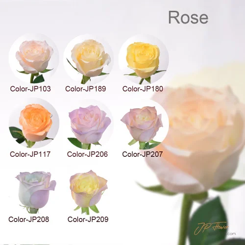 藝術與愛的結合：JP花店18種新玫瑰色系花束引領新潮流