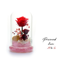 保鮮花-PS102 保鮮花-PS102