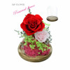 Preserve Flowers