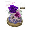 Preserve Flowers