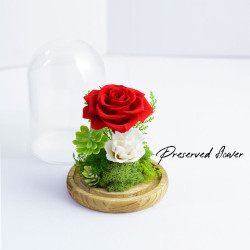 保鮮花-PS168 保鮮花-PS168