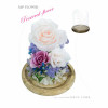 Preserve Flowers