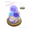 Preserve Flowers