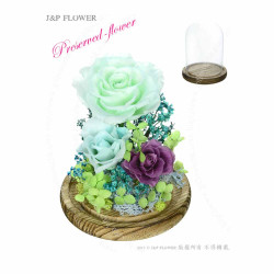 保鮮花-PS208