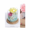 Preserve Flowers