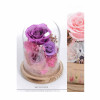 Preserve Flowers