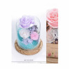 Preserve Flowers