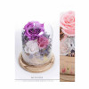 Preserve Flowers