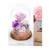 Preserve Flowers
