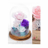 Preserve Flowers