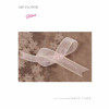 Ribbon