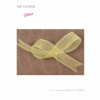 Ribbon