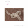 Ribbon