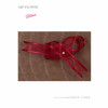Ribbon