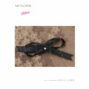 Ribbon