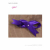 Ribbon