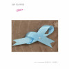 Ribbon