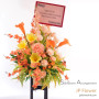 "Wealth from All Directions" Premium Orchid X Peony X Amaryllis Flower Basket - Orange & Yellow Grand Opening/Relocation Custom Balloon Set "Wealth from All Directions" Premium Orchid X Peony X Amaryllis Flower Basket - Orange & Yellow Grand Opening/Relocation Custom Balloon Set