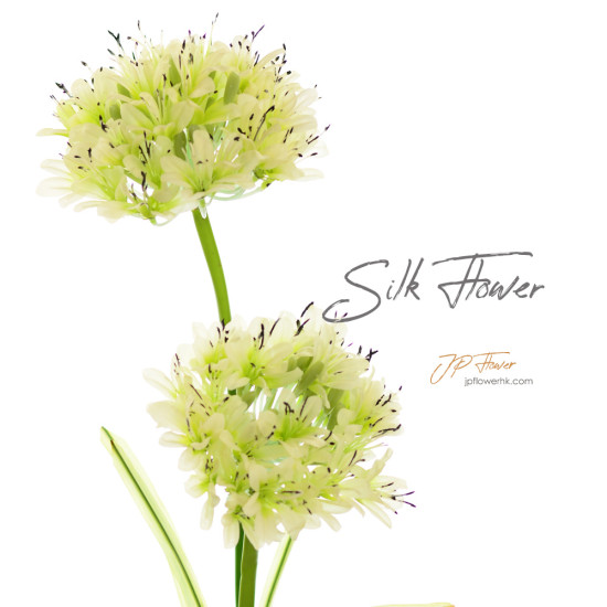 Agapanthus-Silk Flower-ss116