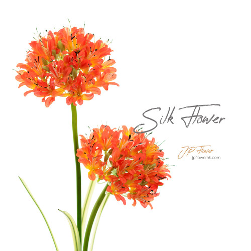 Agapanthus-Silk Flower-ss117