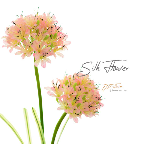 Agapanthus-Silk Flower-ss118