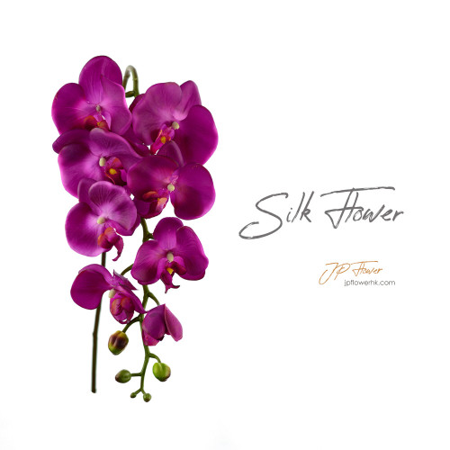 Phalaenopsis-Silk Flower-ss101